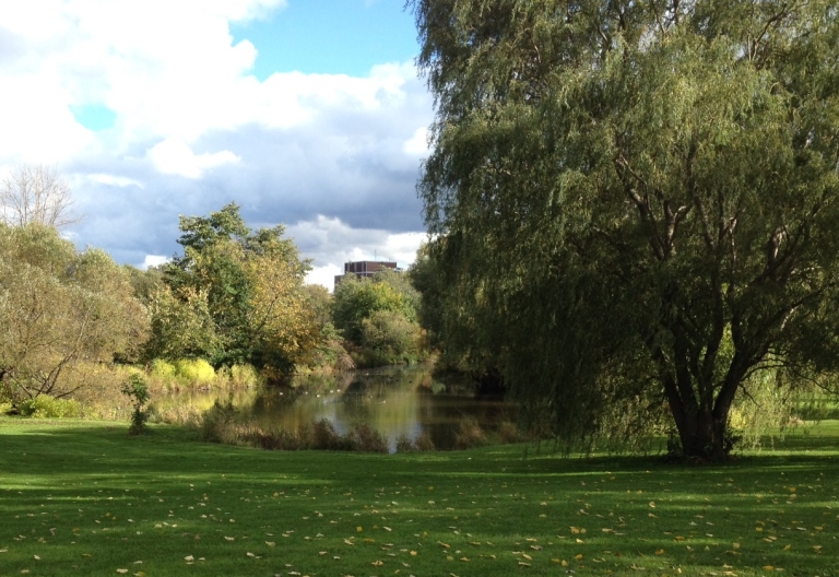 Ottawa Arboretum - D. Deby photo