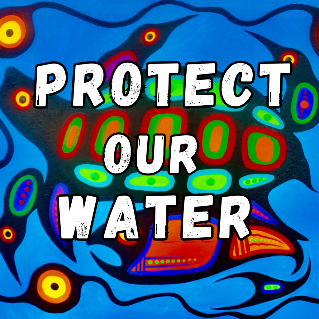Colourful Indigenous art depicting aquatic animals (turtle, birds, fish) in black, green, orange, red and blue, on a blue background; the text "Protect our Water" is superimposed on the image.